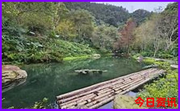 靖西十大免费景区
